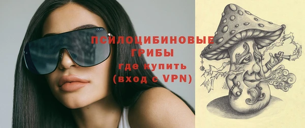 сатива Алексин