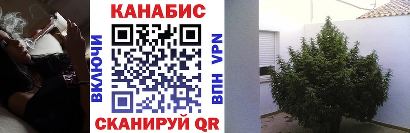 Марихуана индика Ликино-Дулёво